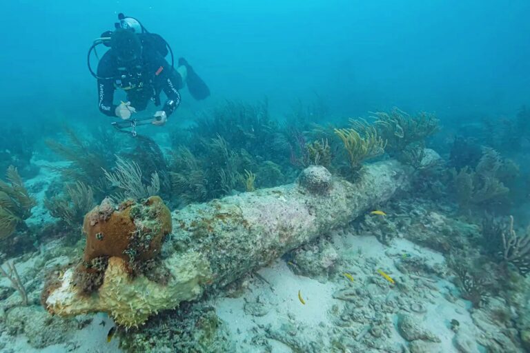 An NPS diver documenting one of five coral-encrusted guns from HMS Tyger (Brett Seymour / NPS)
