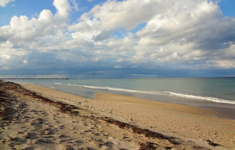 Anak lelaki cuba mendapatkan bantuan untuk bapa: Pantai Juno di Florida (FFWCC)