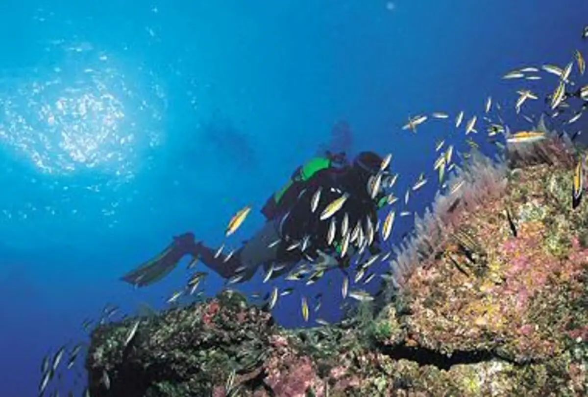The Top 6 Most Challenging Dive Sites: Part 2 – A DAN Europe Safety Column 5 el_hierro