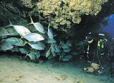 Guelly jacks at Miradero's cave