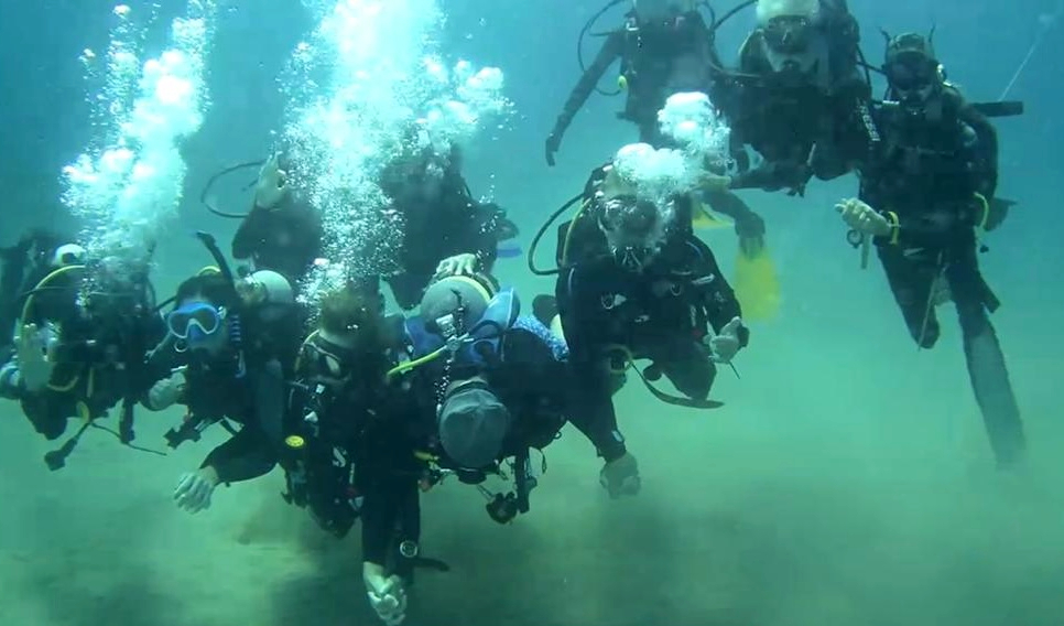 珊瑚礁潜水员水下阵容