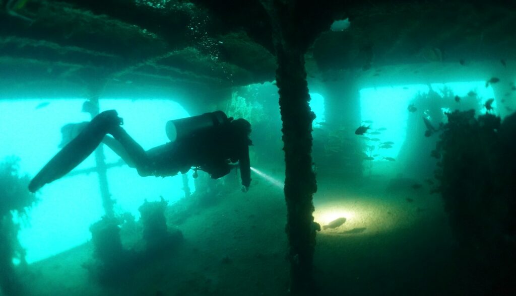 Diver inside the Al Munassir