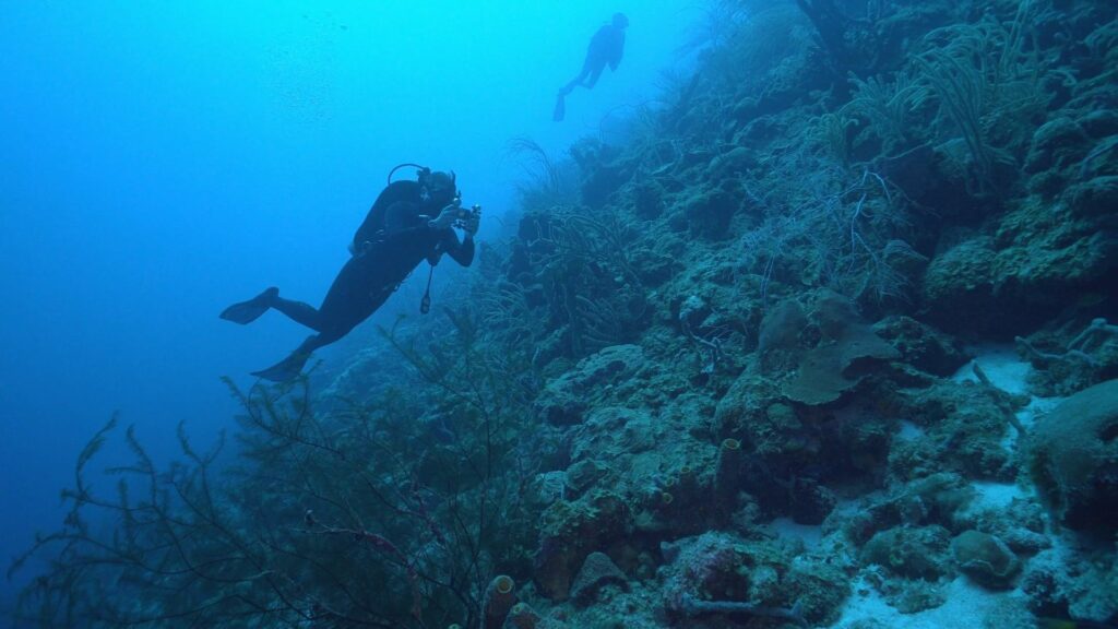 Curaçao uurimine sukeldumisel (POG)