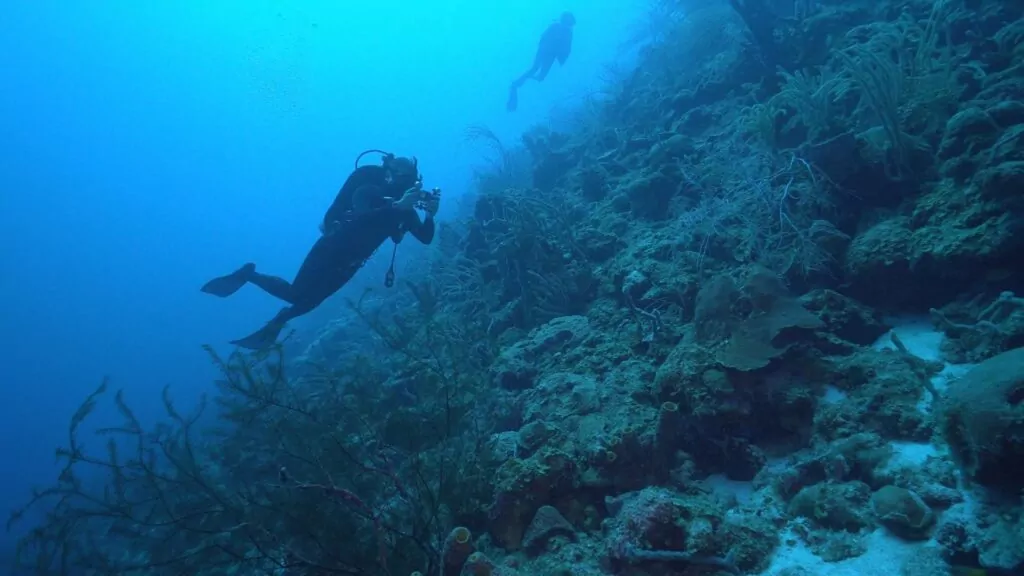 Scoping Curaçao on scuba (POG)