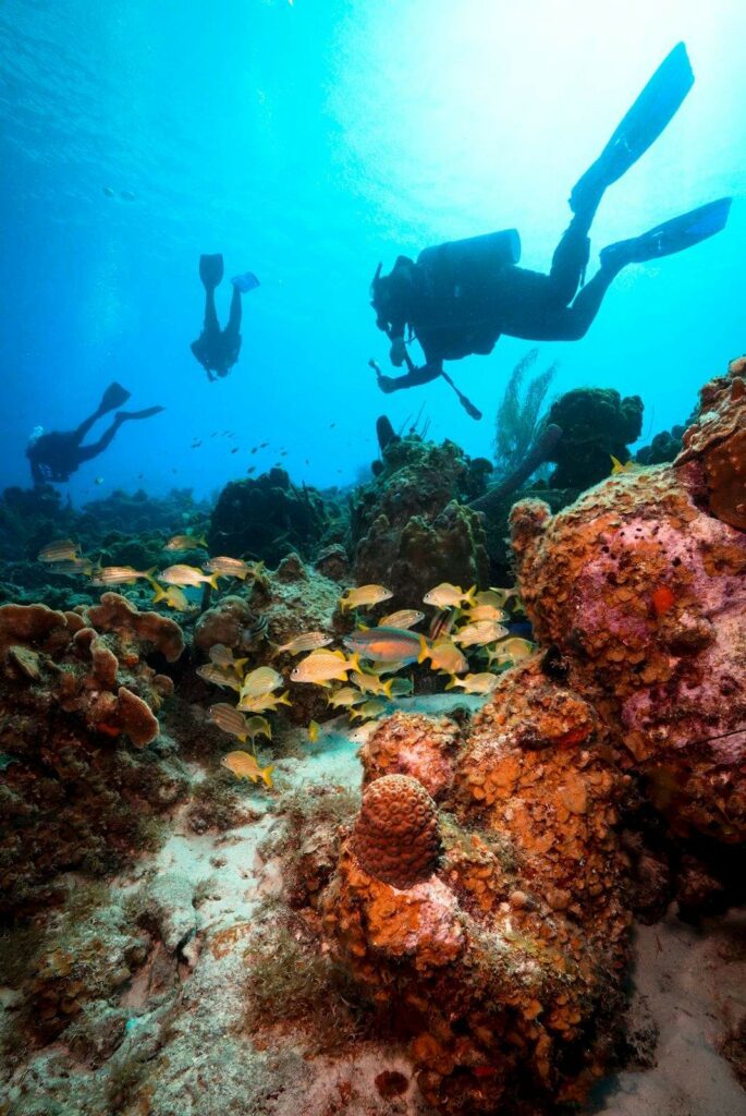 Fabien Cousteau plongée sous-marine à Curaçao (POG)