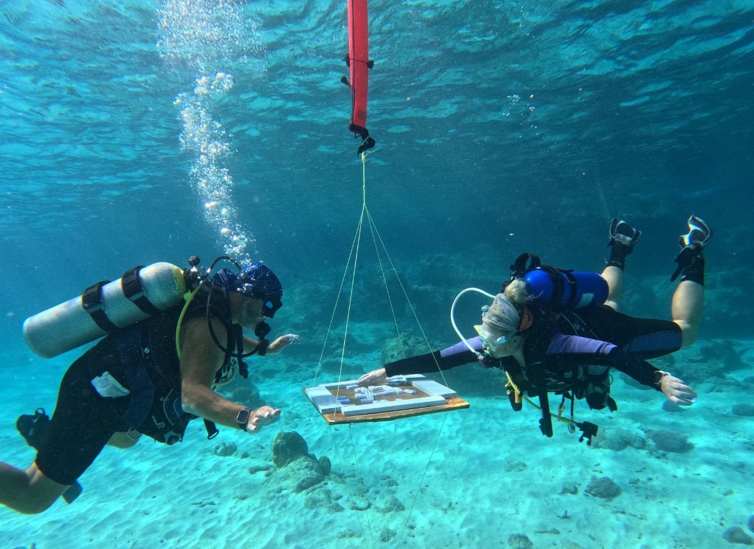 Domino maailmarekord langeb Curaçao sukeldujatele