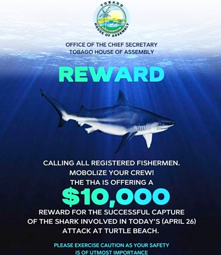 This shark bounty announcement was later withdrawn