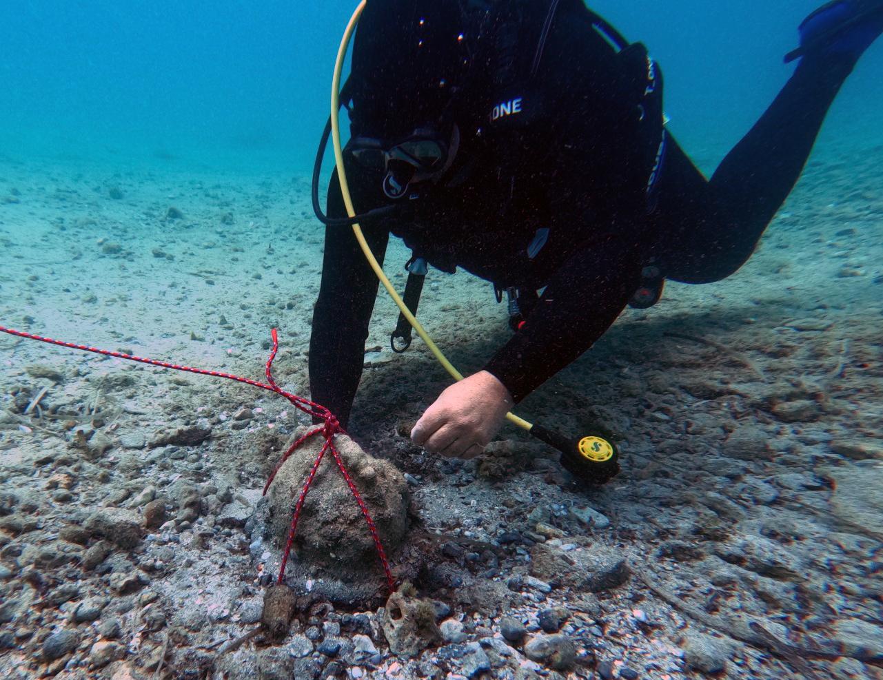 Observera: sicilianska dykare hittar medeltida hjälm
