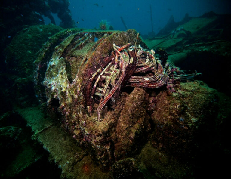 Электродвигатель от холодильного насоса на затонувшем немецком военном корабле «Антилла»
