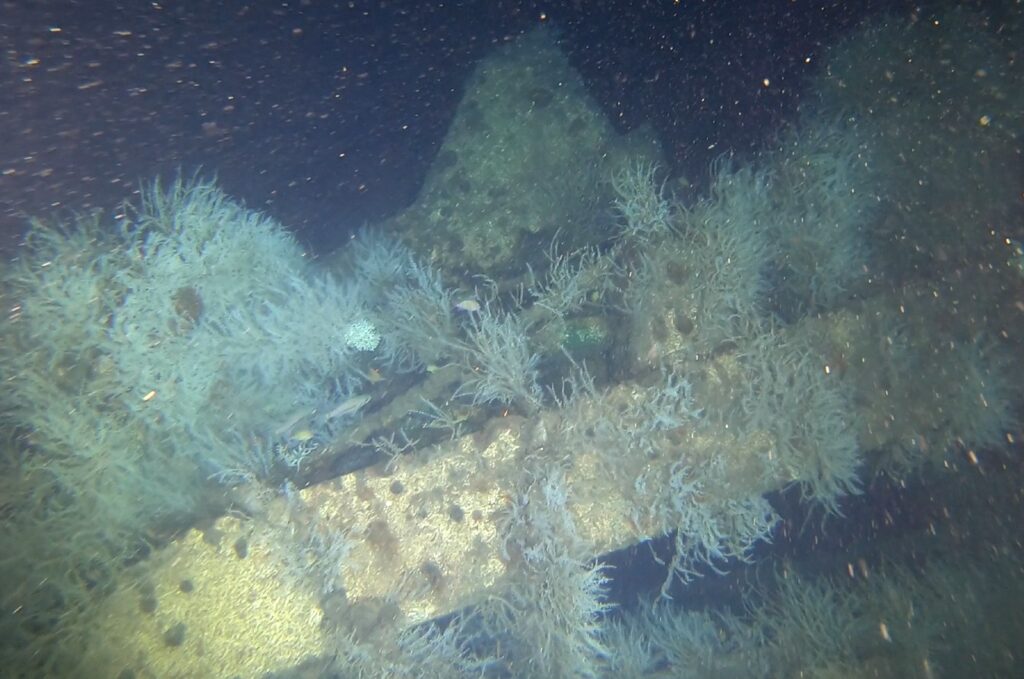 Views of the vast Princess of the Orient wreck. The team landed in front of the bridge on the starboard side