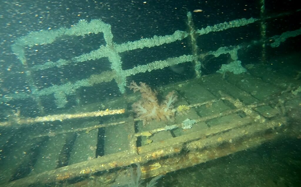 Views of the vast Princess of the Orient wreck. The team landed in front of the bridge on the starboard side