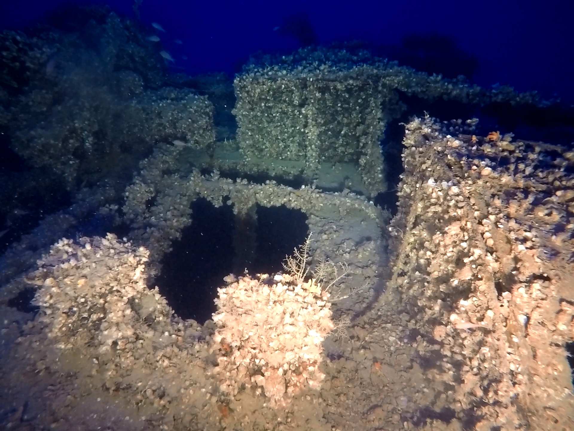 Tragic WW2 wreck located at 153m off Hydra