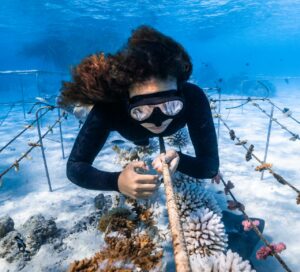 Bailey Bass on a coral-restoration project in Tahiti (Noé Langronier)