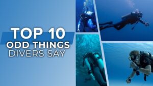 Top 10 Odd Things Divers Say