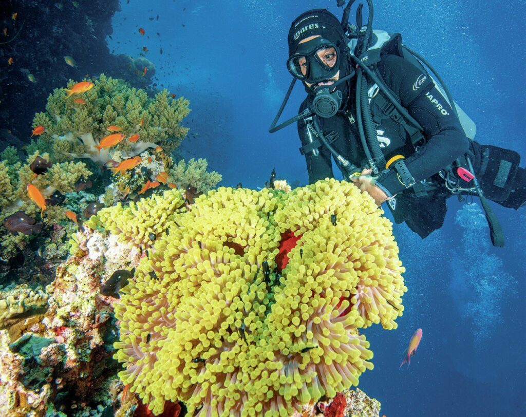 New liveaboard bussies make great models