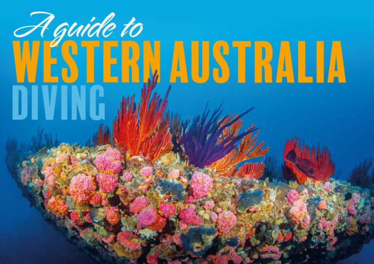 A Guide To Western Australia Diving|Hard corals at Rowley Shoals|School of jacks|Anemonefish|Huge sea fan|Shoaling fish at Ningaloo Reef|Grouper at Navy Pier|Ningaloo reef coral formations|Barrel rolling mantas|Whaleshark|Key Biscayne wreck|Corals at Abrohlos Islands|Jurien Bay sealions|Perth shore diving|Grey nurse shark at Rottnest Island|Schooling fish at Rottnest Island|Busselton Jetty|Blenny on Busselton Jetty|Coral Bay|HMAS Swan|HMAS Perth|Weedy seadragon
