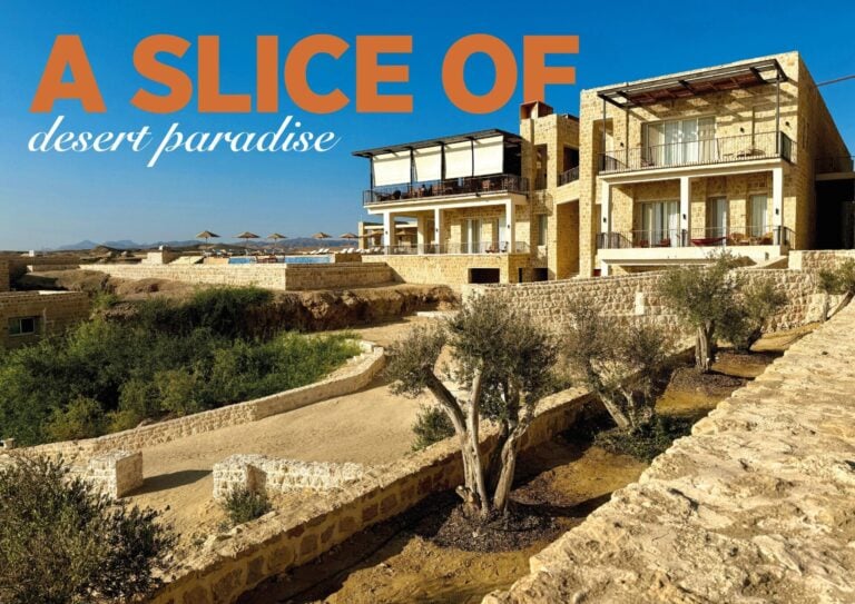 A slice of desert paradise|Wadi Sabarah is built out of traditional stone|Emperor Skye|Sonia giving a predive briefing|Hard corals in the shallows|Vibrant soft corals at Elphinstone|Green turtle with accompanying remora|The reefs are healthy and full of life|Luke Atkinson delivering a presentation on dugongs|The entryexit point for the shore dive at Wadi Sabarah|Desert safari is well worth doing|Dr Springuel will lead tours in the botanical garden|Luke