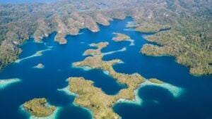 How to Get to Raja Ampat|The Story of Willie Wagtail|The Story of Willie Wagtail|The Story of Willie Wagtail
