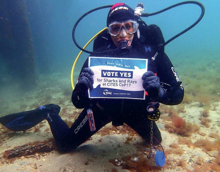 Kate Parker is all about ocean conservation