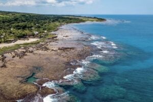 Tanna’s North-West coral coastline|PADI ECO Centre|White Grass Ocean Resort and Spa is well-positioned to capture this market growth|coral reef|Tanna offers guests world-class diving with ocean-first