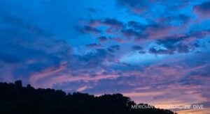Spectacular Sunset Migration of Fruit Bats|Spectacular Sunset Migration of Fruit Bats|Spectacular Sunset Migration of Fruit Bats|Spectacular Sunset Migration of Fruit Bats|Spectacular Sunset Migration of Fruit Bats|Spectacular Sunset Migration of Fruit Bats