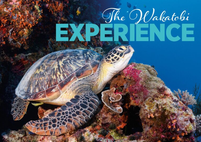 The Wakatobi Experience||||||||||Wakatobi’s private flight services to and from the resort takes place on a ATR 72 twin-engine turboprop aircraft operated by one of the regional carriers||Sea fan||||