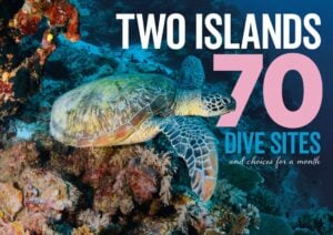 Two Islands 70 Dive Sites And Choices For A Month|||||||Colourful soft corals and sponges|||||||