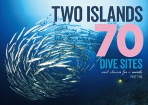 Two islands 70 dive sites|Aerial view of the resort|Crinoids perched near vibrant soft coral|Crinoids perched near vibrant soft coral|Massive span of table coral|Macro critters are everywhere|Tiny goby on hard coral||Nudi heaven|Turtle chilling on the reef||Corals and sponges adorn the reef