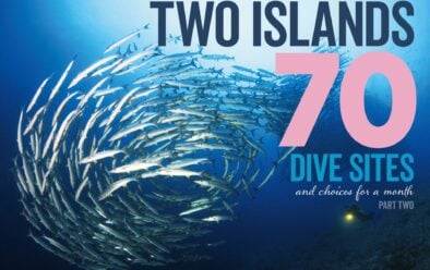 Two islands 70 dive sites|Aerial view of the resort|Crinoids perched near vibrant soft coral|Crinoids perched near vibrant soft coral|Massive span of table coral|Macro critters are everywhere|Tiny goby on hard coral||Nudi heaven|Turtle chilling on the reef||Corals and sponges adorn the reef