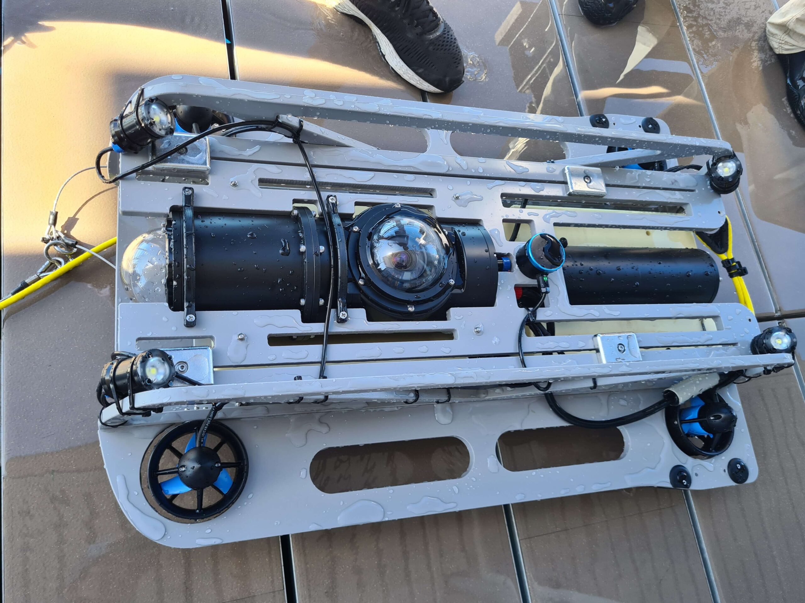 $9.8 Million Program to Protect Corals from Starfish 2 High-tech robotics, genetics and pheromones channelled to outsmart crown-of-thorns starfish