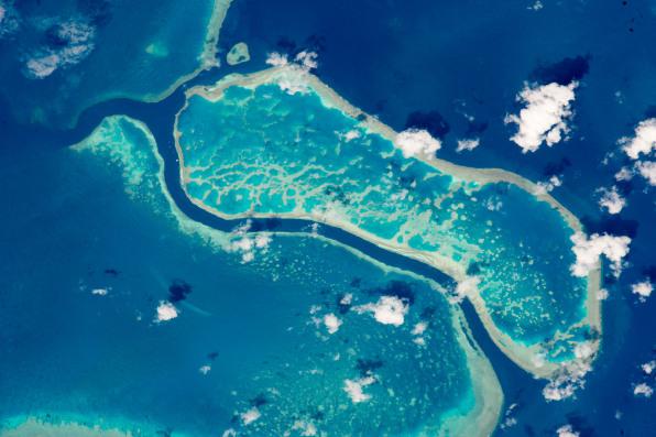 NASA’s Coral Mapping Game