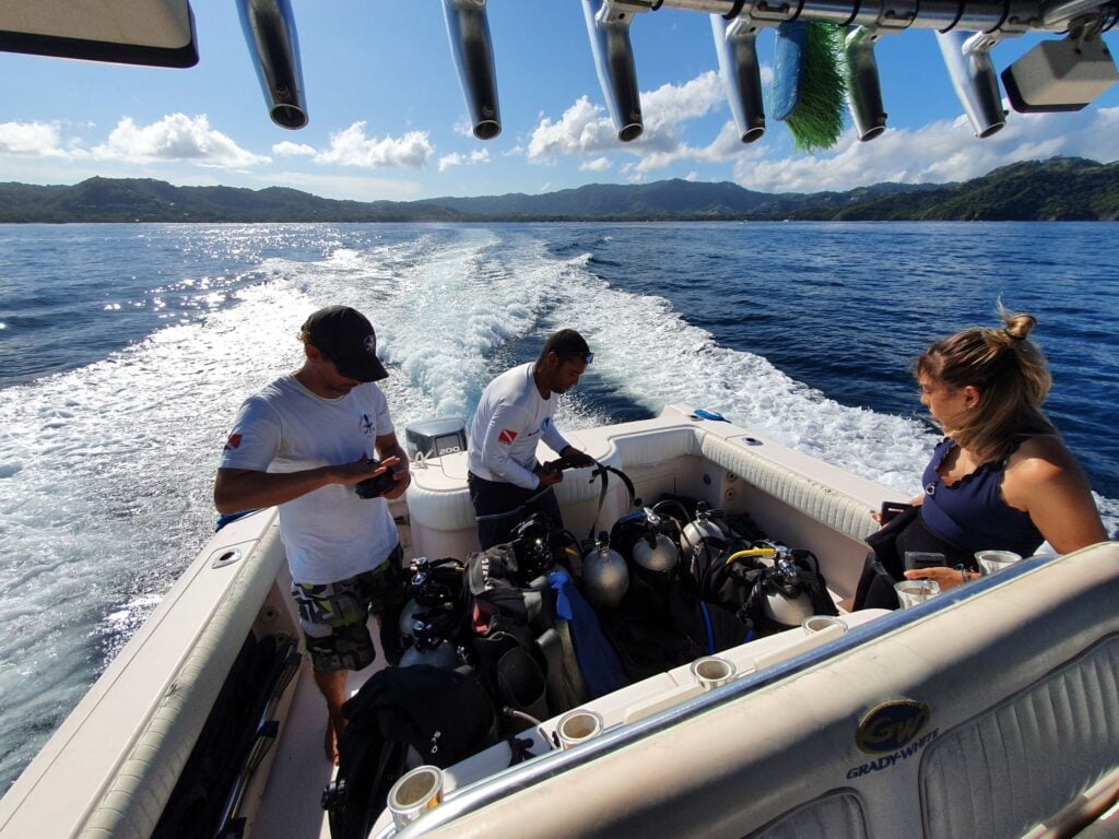Reef-World launches updated online course 1 20211112 081502 51727328387 o 1