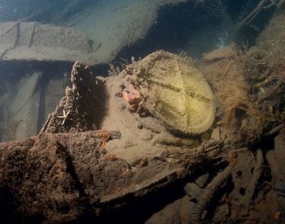 One of the many portholes from around the wrecks