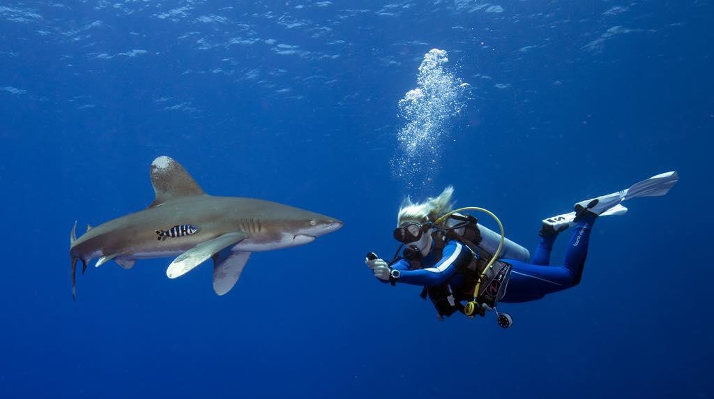 A Sustainable Future in Dive Travel and Ocean Exploration.