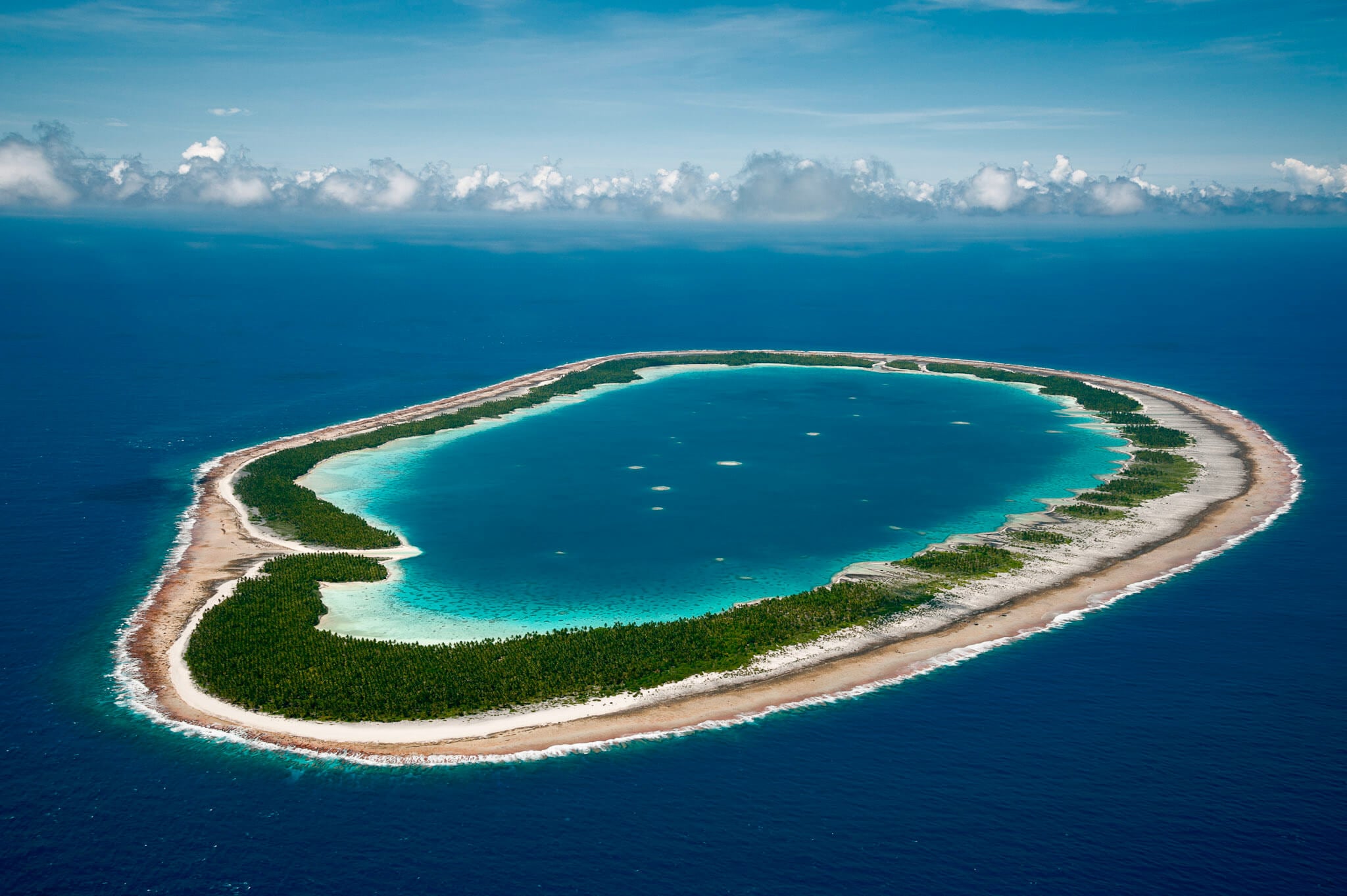  Coral Reef Health