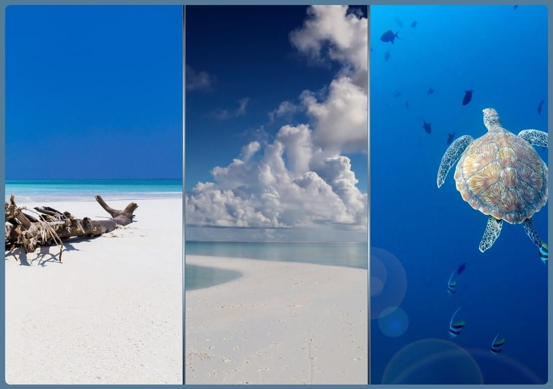 Luxurious ALEXA J and Soneva Join Forces