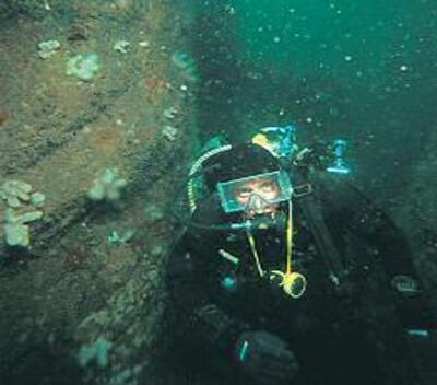 A canyon through the reef provides enough shelter for a few clumps of dead men's fingers to hang on.