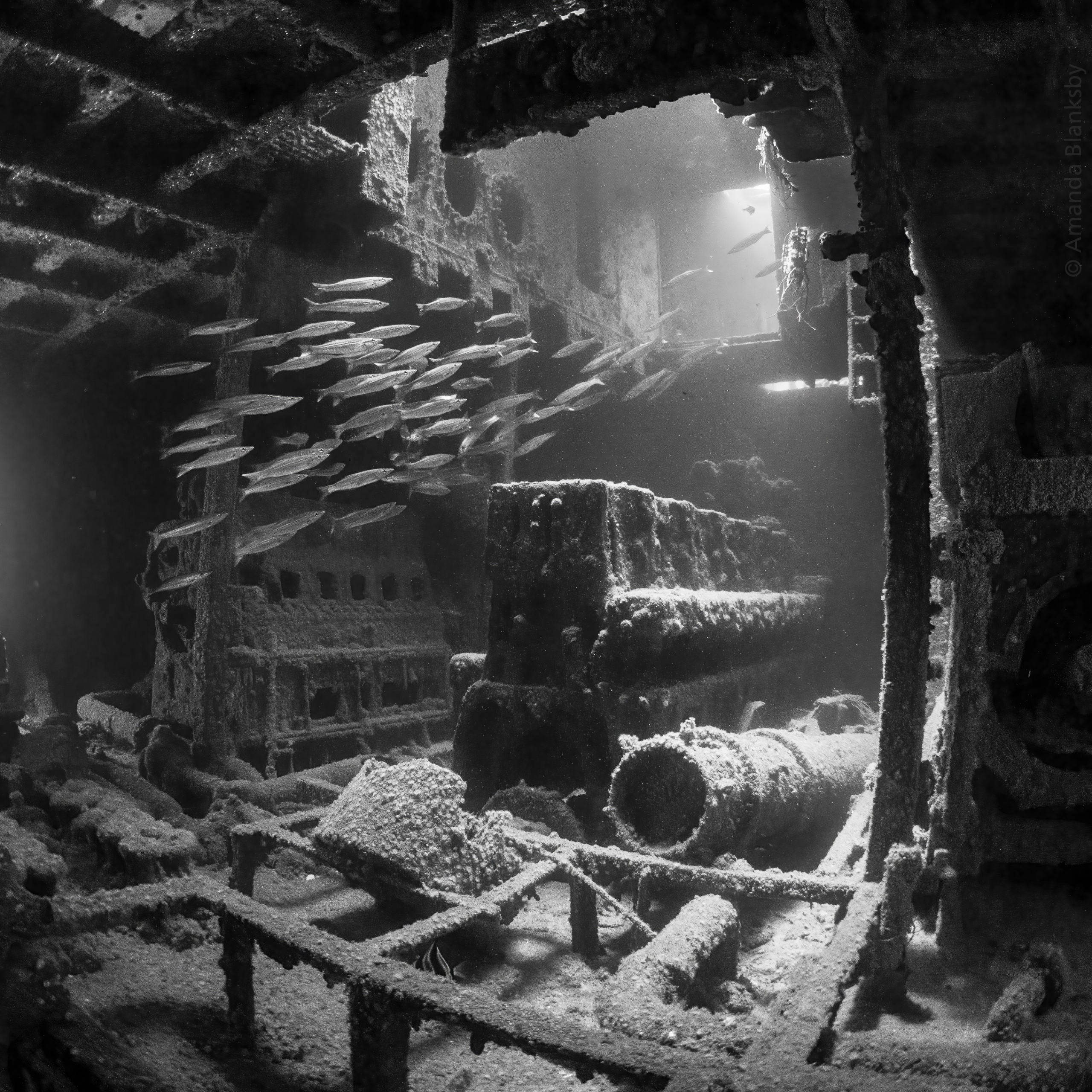 The Underwater Tour Awards 2021 Winners