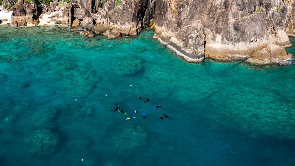Tourism operators help plant 1000 corals