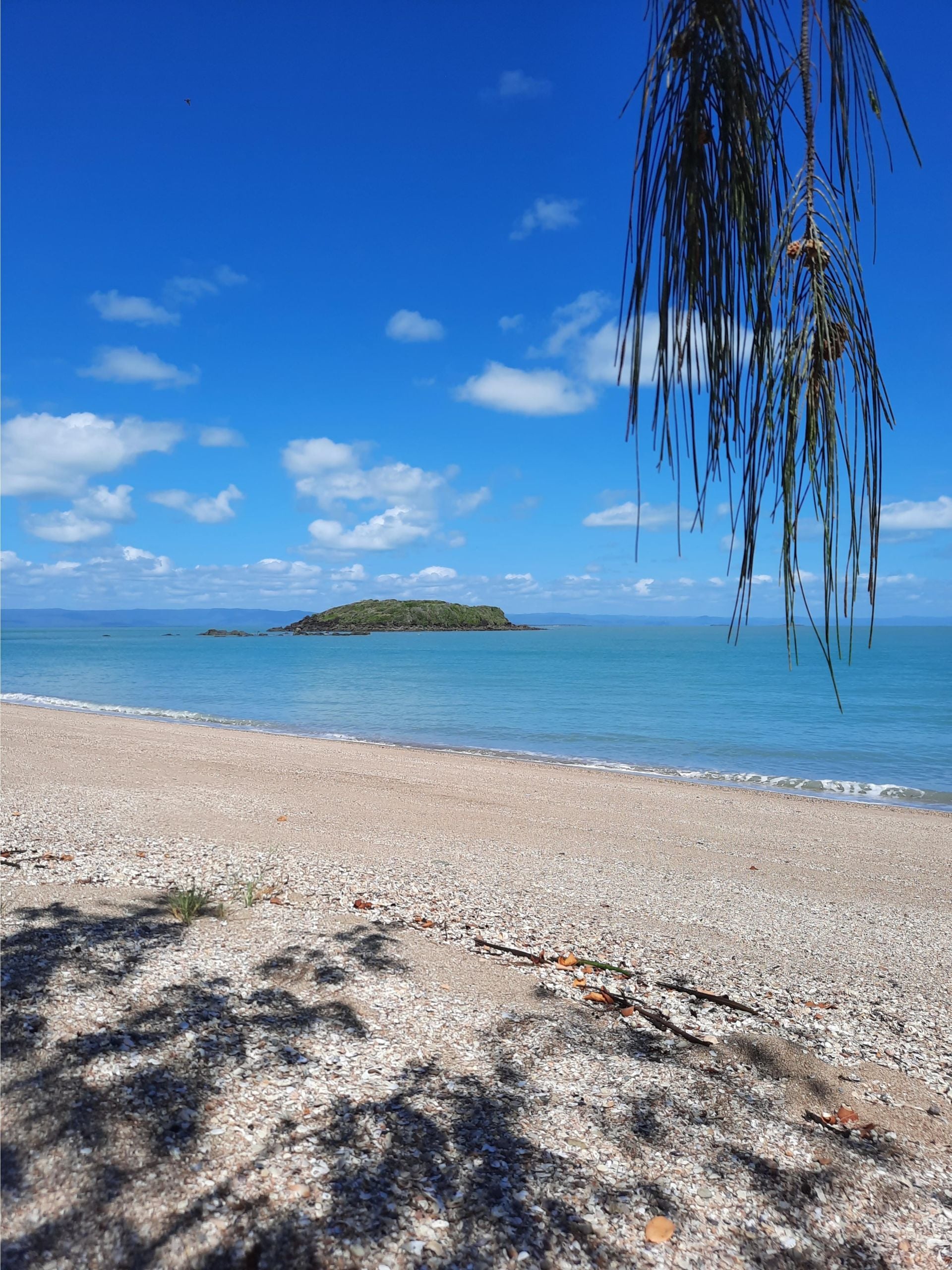 AVOID ISLAND CHOSEN AS CLIMATE CHANGE REFUGE