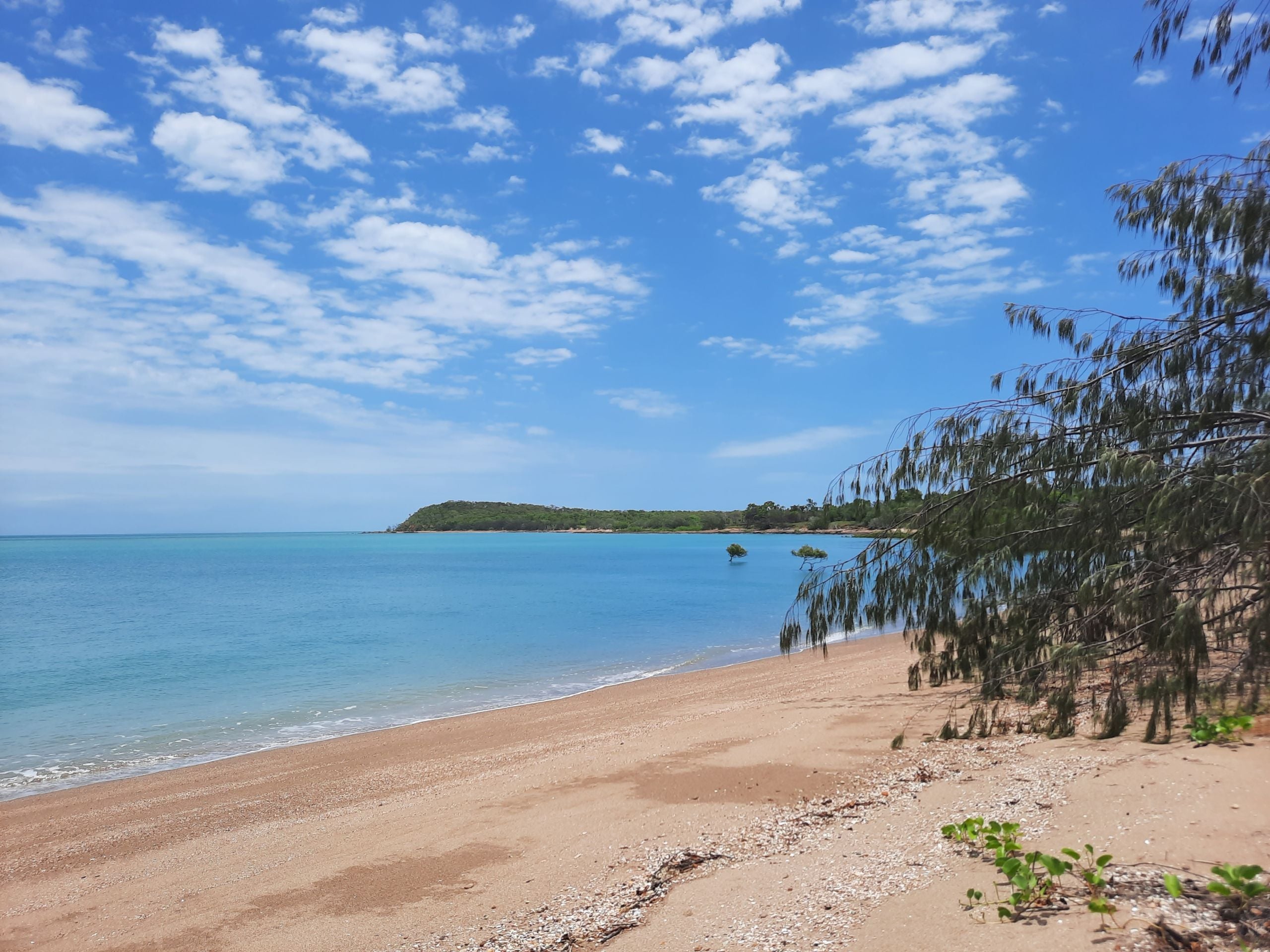 AVOID ISLAND CHOSEN AS CLIMATE CHANGE REFUGE
