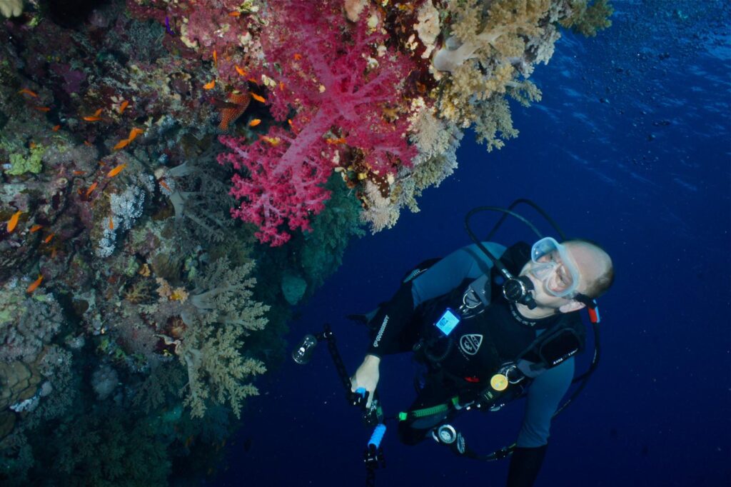 Green Fins environmental diving and snorkelling initiative available across Egypt 4 DSC08173