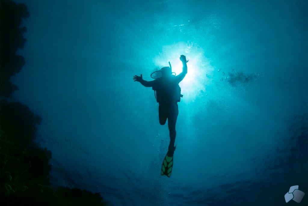 Deptherapy 24 hour dive