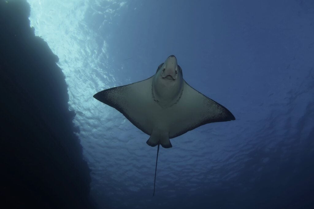 Adventure Cook Islands Open for Business