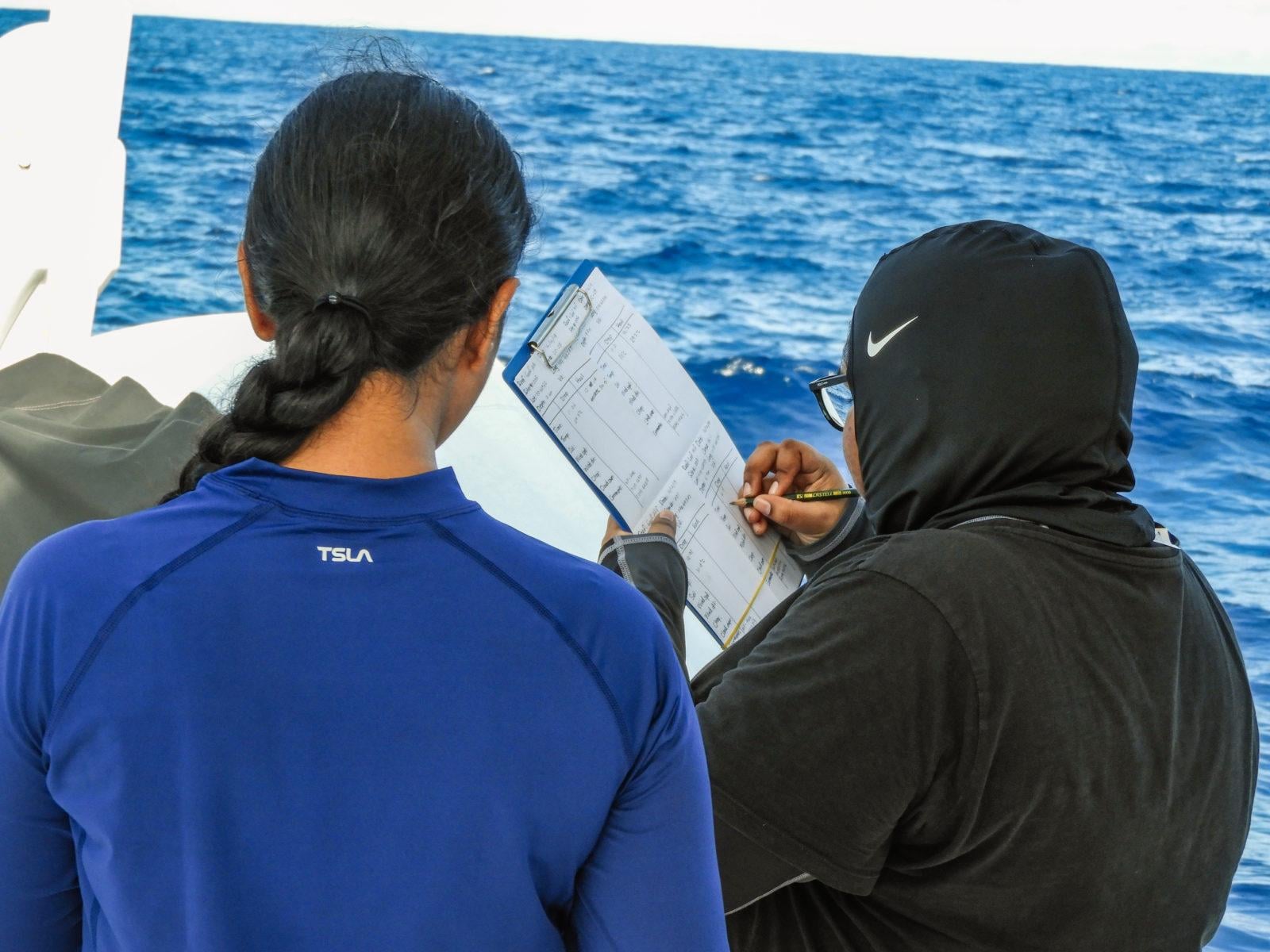 Fin Print data recording.