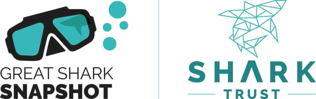 GSS with ST logo CMYK