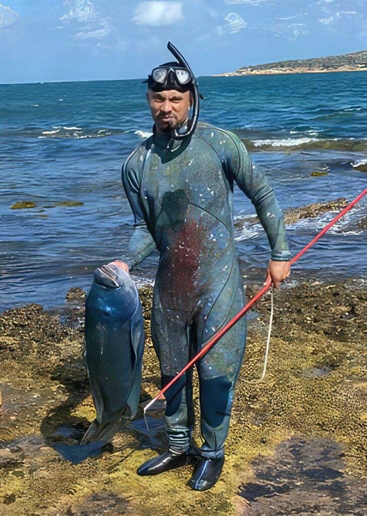 blue groper