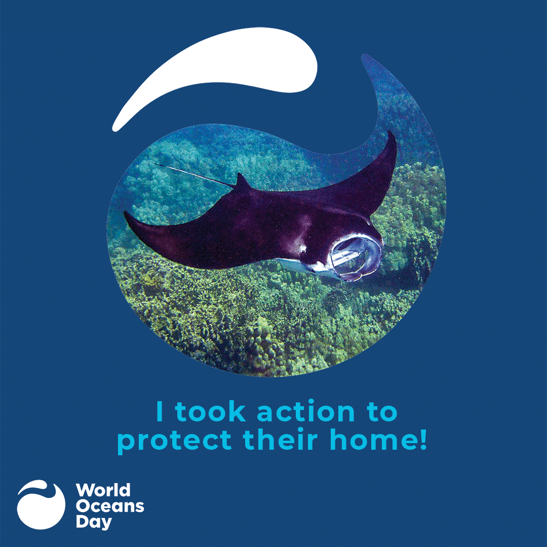 Top Digital Influencers of World Oceans Day 2020