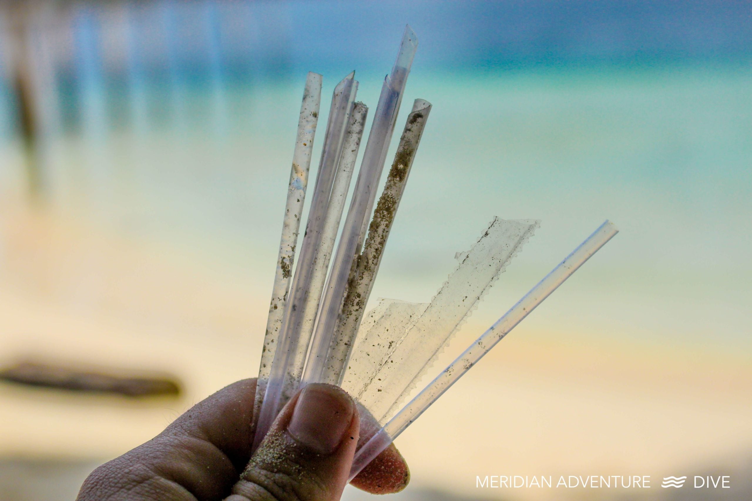 Meridian Adventure Dive Host Mass Beach Clean-up