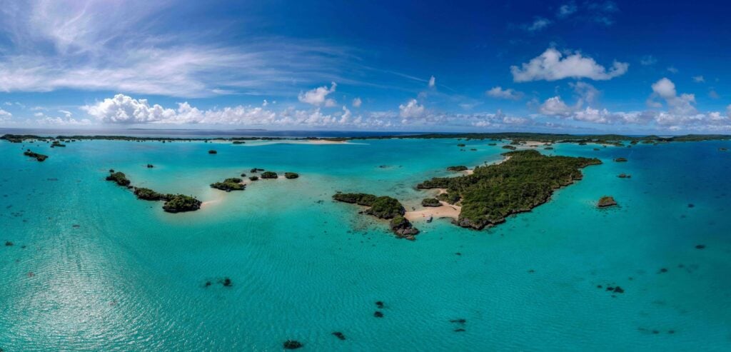 Captain Cook Cruises launch Citizen Scientist initiative